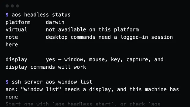 headless status on a desktop, and the refusal a screenless server gives