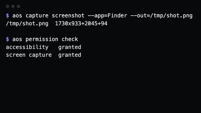 capture screenshot prints the file and the captured bounds